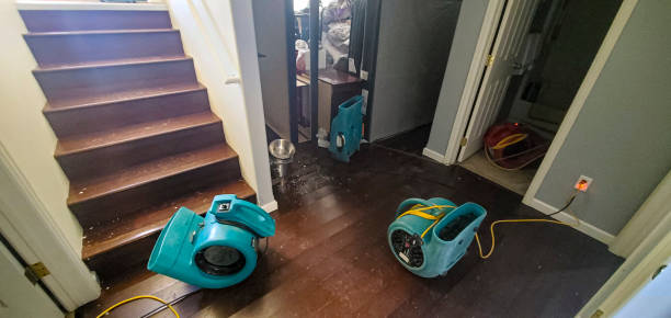 Best Carpet water damage restoration  in Seaside, CA