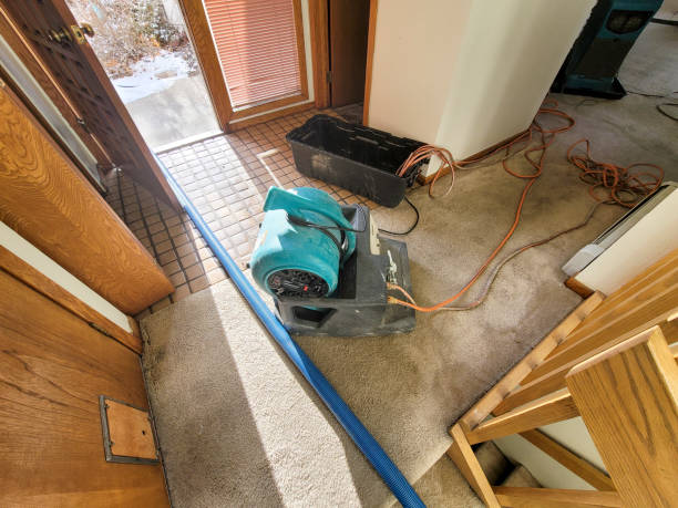Best Water damage restoration near me  in Seaside, CA