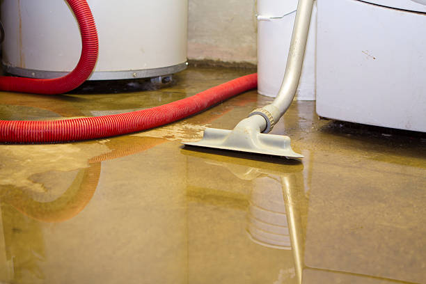 Best Water damage contractors near me  in Seaside, CA