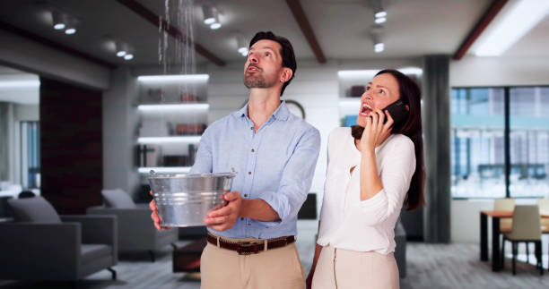 Best Ceiling water damage repair  in Seaside, CA
