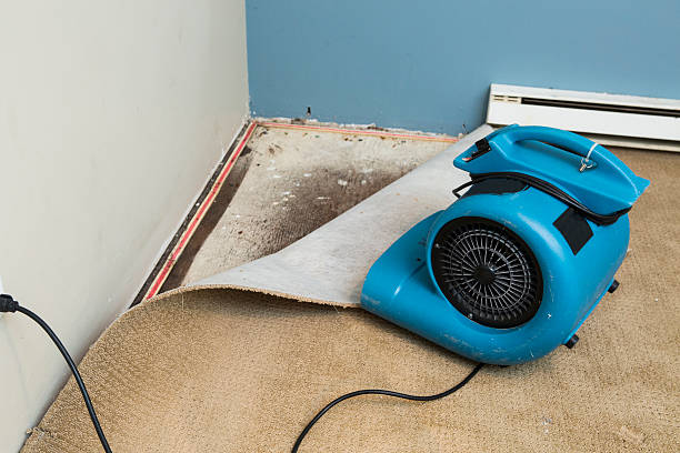 Best Water damage cleanup near me  in Seaside, CA
